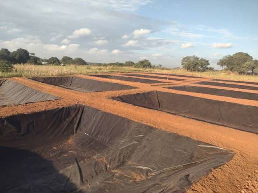 Earthworks and construction on reclaimed land